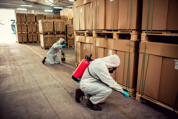 Best Pest Inspection Near Me  in Lake City, AR