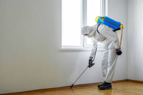 Reliable Lake City, AR Pest Control Solutions