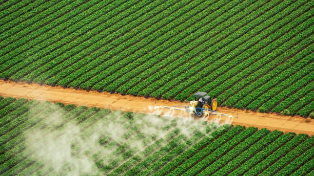 Best Commercial Pest Control Services  in Lake City, AR